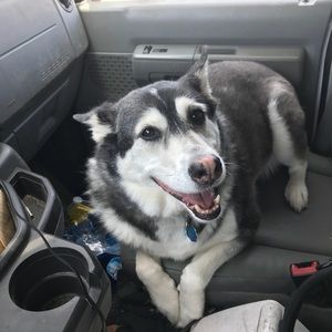 Meet your Posher, Adam